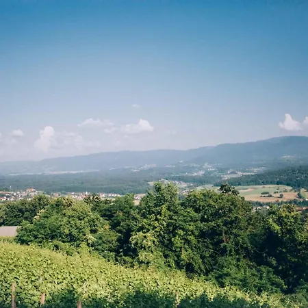 Apartment In Novo Mesto - Dostava - Kranjska Krain 26036