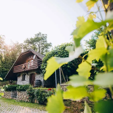 شقة In Novo Mesto - Dostava - Kranjska Krain 26036 *