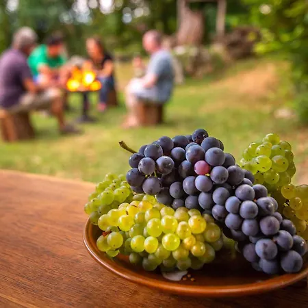شقة In Novo Mesto - Dostava - Kranjska Krain 26036 Trska Gora