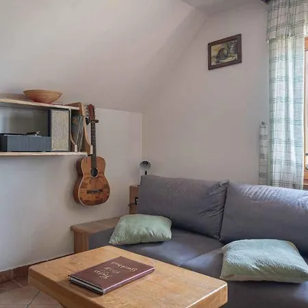 Apartment In Novo Mesto - Dostava - Kranjska Krain 26036 Trska Gora