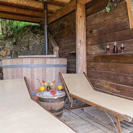 In Novo Mesto - Dostava - Kranjska Krain 26036 * Trska Gora