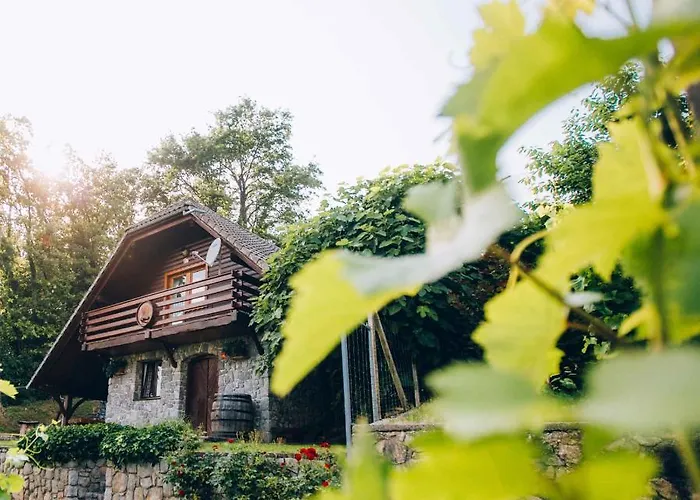 Apartman In Novo Mesto - Dostava - Kranjska Krain 26036 *