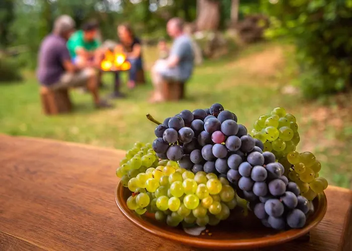 Apartman In Novo Mesto - Dostava - Kranjska Krain 26036 Trska Gora